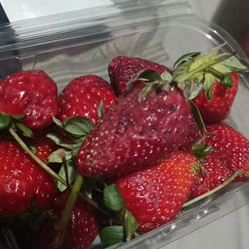 Milagro Pişmanlık Yemek Sepeti Pişmanlık