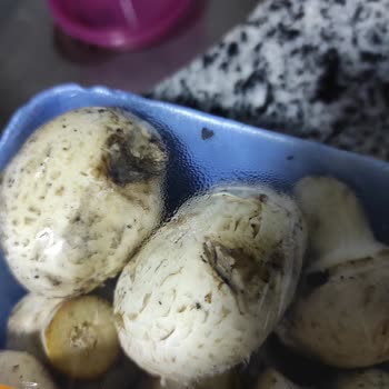 Migros Sanal Market İade Küflü Mantar