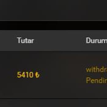 Wbahis Müşteri Memnuniyetsizliği Ve Beklentilerin Karşılanmaması