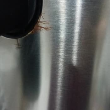 Kumtel Fastfryer Paslanma Sorunu