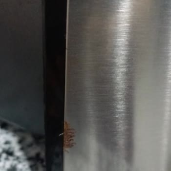 Kumtel Fastfryer Paslanma Sorunu