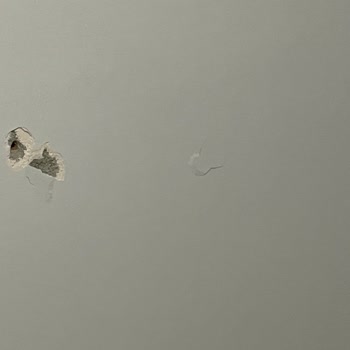 Samsung TV Servis Ve Müşteri Hizmetleri Sorunu