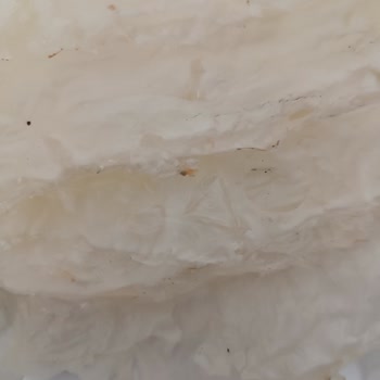 BİM Bozuk Ürün Ayrıca Kurtlu