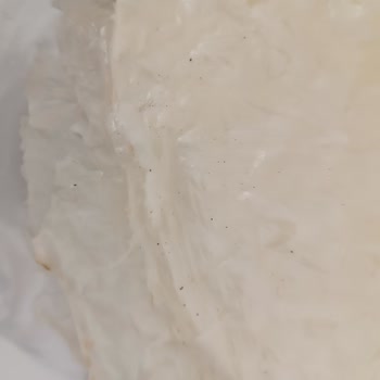 BİM Bozuk Ürün Ayrıca Kurtlu