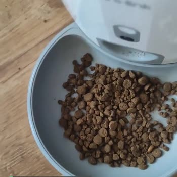 N11 Kedi Maması Kalitesiz