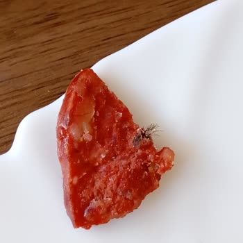 Akdaş Sucuk ve Et Ürünleri Akdaş Sucuk İçinden Kıl Çıktı