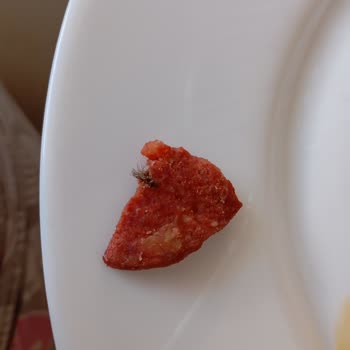 Akdaş Sucuk ve Et Ürünleri Akdaş Sucuk İçinden Kıl Çıktı