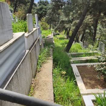 İBB - İstanbul Büyükşehir Belediyesi Hekimbaşı Mezarlığı İçinde Düzensizlik