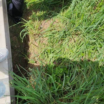 İBB - İstanbul Büyükşehir Belediyesi Hekimbaşı Mezarlığı İçinde Düzensizlik