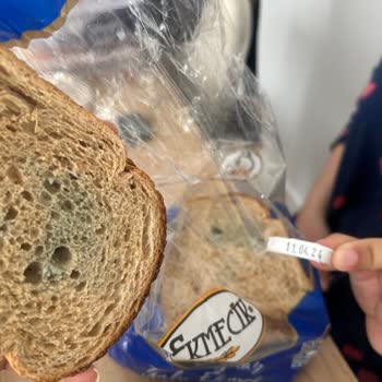 BİM'den Aldığım Ekmek Bir Günde Küflendi!