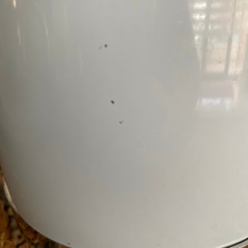 Smeg Kettle Isıtıcım Soyuldu