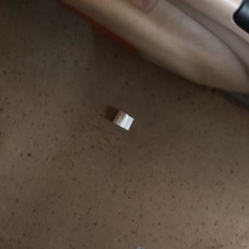 Ulaştırma ve Altyapı Bakanlığı Gölmarmara Seyahat Otobüsünün Hijyensizliği Hakkında