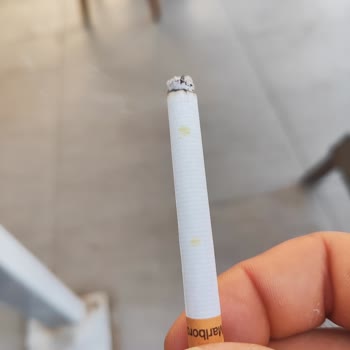 Philip Morris Marlboro Red Sigara Yeşeriyor.