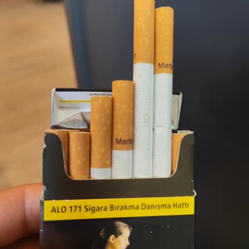 Philip Morris Marlboro Red Sigara Yeşeriyor.