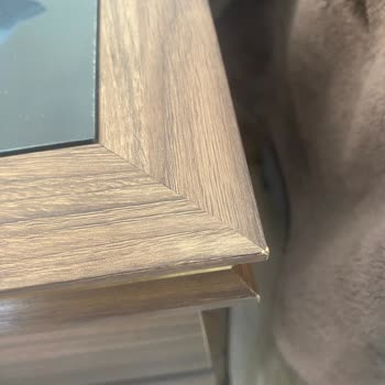 Bellona Montego Yatak Odası Pişmanlığı