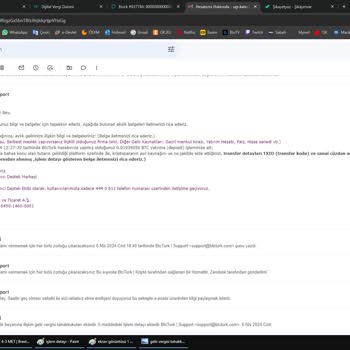 BTC Türk Platformu Bahaneler Göstererek Para Çekimine İzin Vermiyor