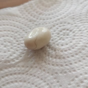 Elvan Gıda Satın Alınan Üründen Yabancı Cisim Çıkması