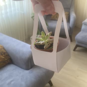 Fidan Pazarı Çer Çöp GD