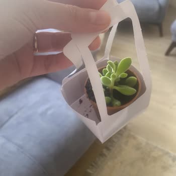 Fidan Pazarı Çer Çöp GD