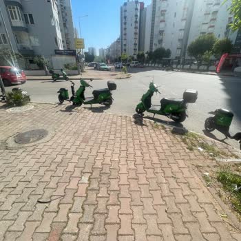 Sokağımızın Her Yerinde Martı İşgali