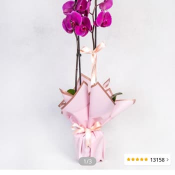 Çiçek Sepeti Sorunu