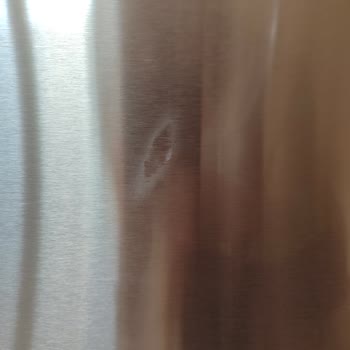 Samsung Bulaşık Makinesinin Boyası Attı.