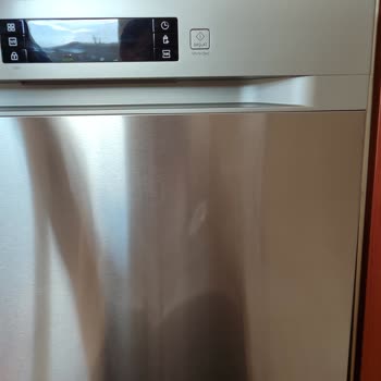 Samsung Bulaşık Makinesinin Boyası Attı.