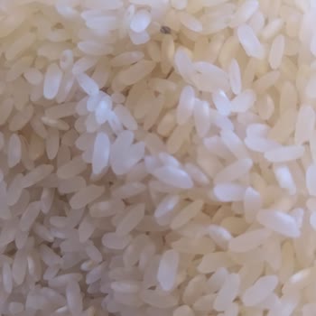 Migros'tan Aldığım Pirinç Böceklenmiş