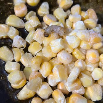 A101 Den Mısırda Kurt Çıktı