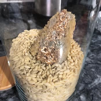 Filiz Makarna İçinden Küf Çıktı