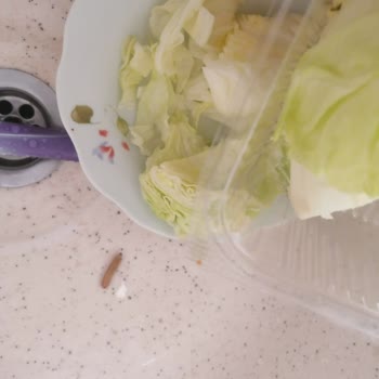 Getir Üzerinden Alınana Komagene Çiğköftenin İçerisinden Tırtıl Çıktı.