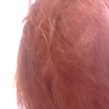 Palette Saçlarımız Mahvoldu