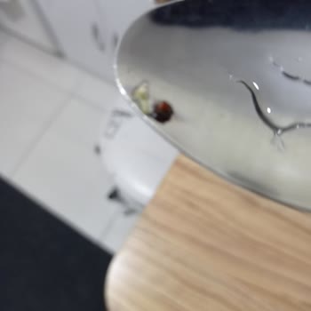 BİM - Saban Marka Mercimek