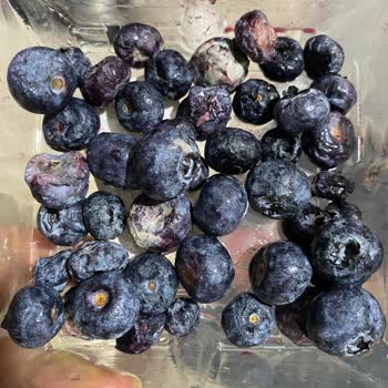 Cepte Şok Market Siparişleri