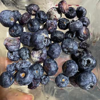 Cepte Şok Market Siparişleri