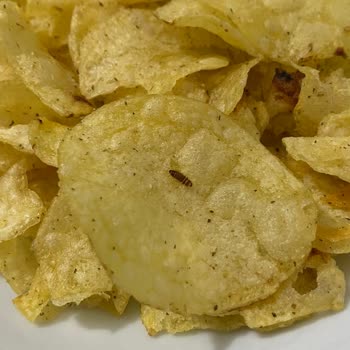 Lays Cipsten Böcek Çıktı