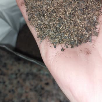 Sadem Çay Sadem T****** Bilmem Ne Karışımı Çay