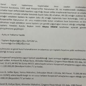 Kainat Enerji Yatırım Vaadiyle Kayıp: Beklenen Gelirin Gerçekleşmemesi