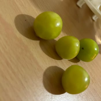 Getir Gelen Ürünün Ayıplı Ürün Olması