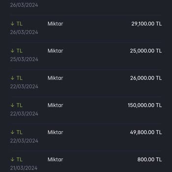 BerchTide Wallet. Borsa Finans Kuruluşu