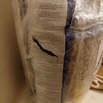 Petimce Köpek Mamasında Kurt Şoku!