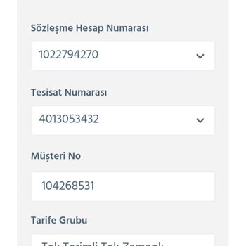 E-Devlet (Turkiye.gov.tr) Yardımcı Olur Musunuz Elektrik Yardımı Yatmıyor