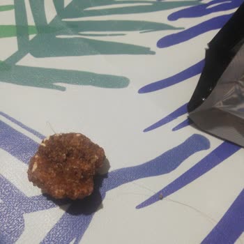 Anında Bitiyor'un Cevizinden Kıl Çıktı