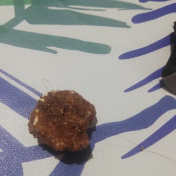 Anında Bitiyor'un Cevizinden Kıl Çıktı