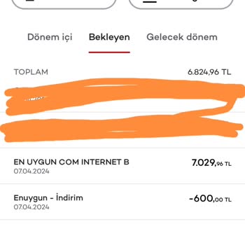 Enuygun Uçak Bileti Sorunu