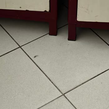 Aydın Atatürk Devlet Hastanesi Hastanede Her Yerde Hamam Böceği Var!