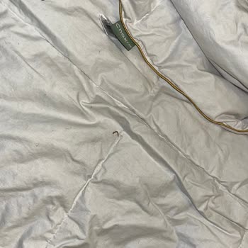 Chakra Kalitesiz Ürünler Ve Kötü Hizmet