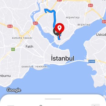 Martı Tag Cezayı Ödemedi