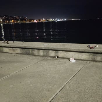 Kadıköy Belediyesi Bağdat Caddesi Sahili Korumak