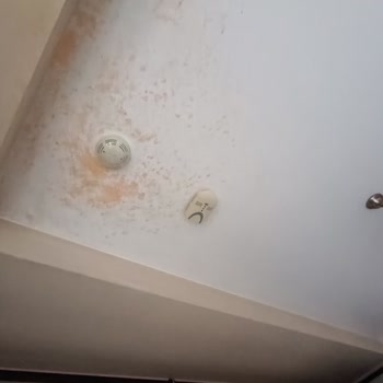 Karaca Züccaciye Düdüklü Faciası Karaca